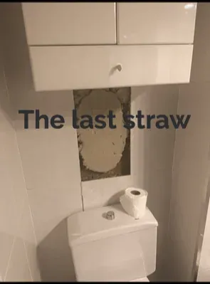The heavy ass tile that fell off in the kids' bathroom.