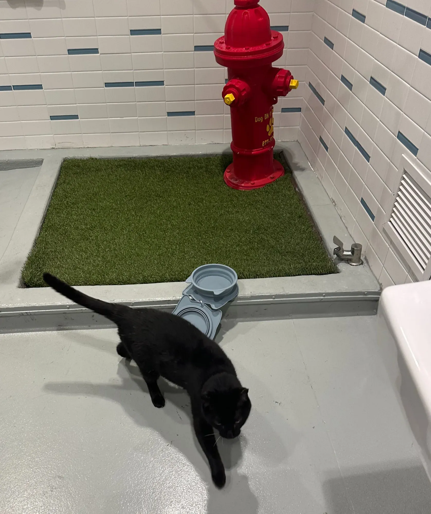 Theo is trying to figure out what is happening in his life during a potty break, which he refused to partake in.